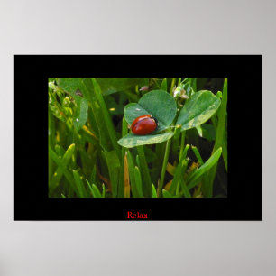 Poster Un jour chanceux de St Patricks