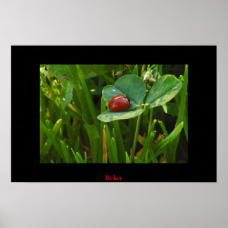 Poster Un jour heureux de St. Patricks