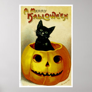 Poster Un joyeux chaton de Halloween