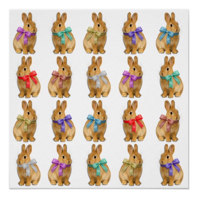 Poster Un lapin m'aime ! (Devant)