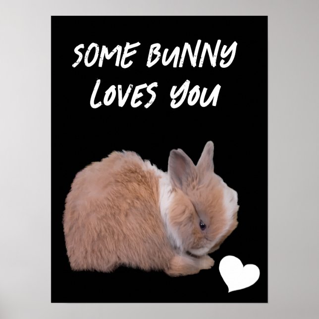Poster Un Lapin T'Aime (Devant)