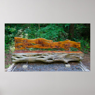 Poster Un lieu de repos dans l'affiche de la forêt