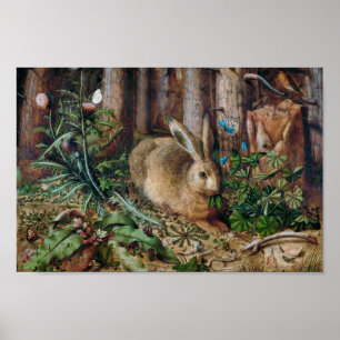 Poster Un lièvre dans la forêt