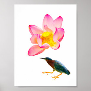 Poster Un lotus à l'eau et un héron