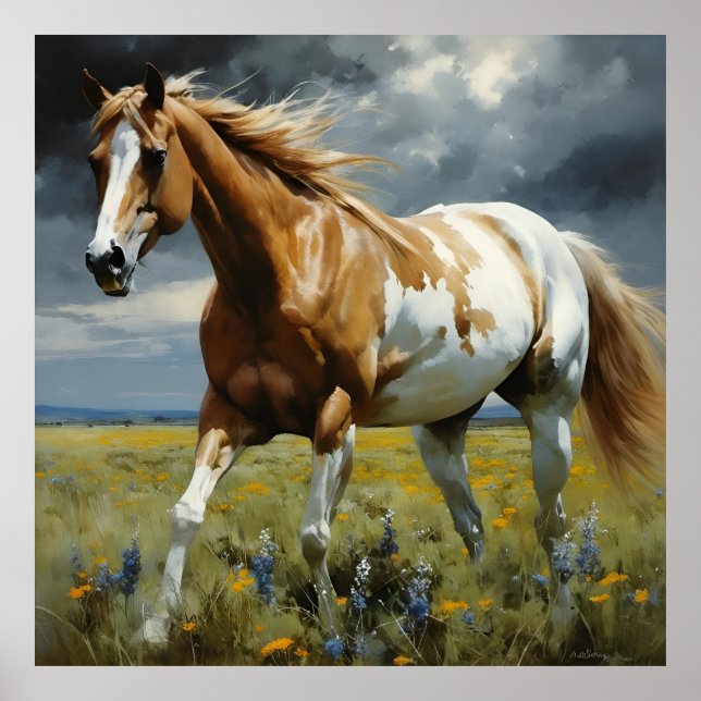 Poster Un magnifique cheval Pinto dans le pré (Devant)