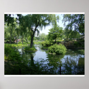 Poster Un moment tranquille à Chicago