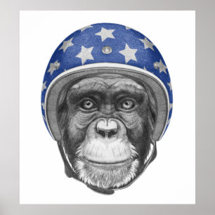 Poster Un motocycliste Chimpanzé