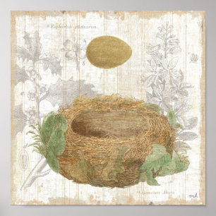 Poster Un nid d'oiseaux avec un oeuf Brown