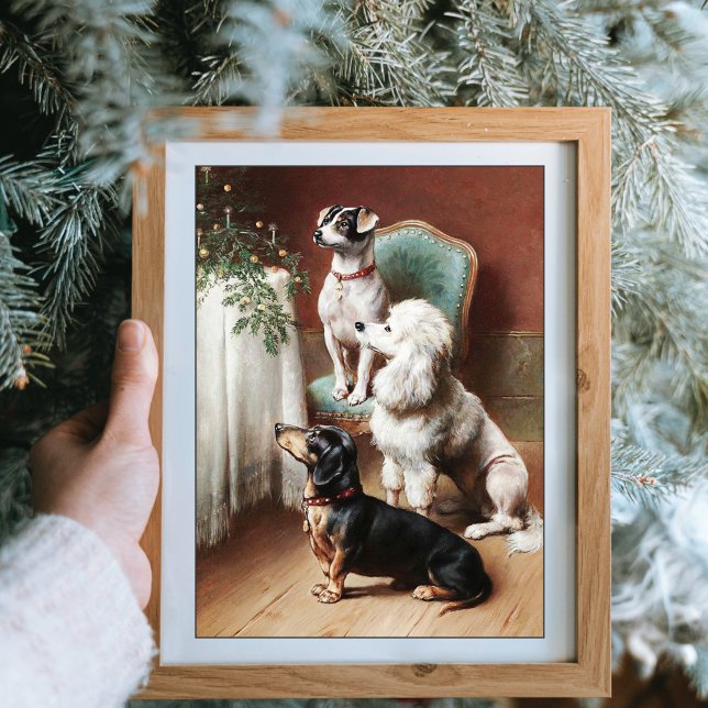 Poster Un Noël Traite Chiens Carl Reichert (Créateur téléchargé)