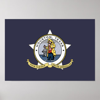 Poster Un nouveau drapeau pour Houston