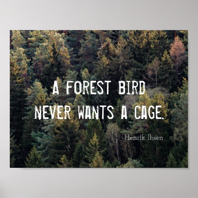 Poster Un Oiseau De Forêt Ne Veut Jamais Un Design De Cag (Devant)
