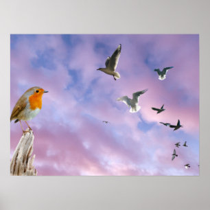Poster Un oiseau regarde le coucher de soleil du ciel mag