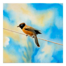 Un oiseau solitaire et coloré
