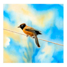 Un oiseau solitaire et coloré