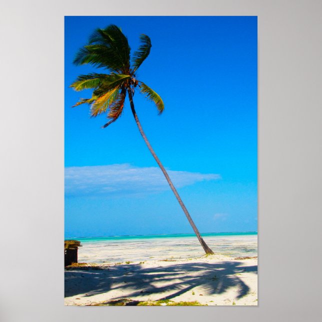 Poster Un Palm (Devant)