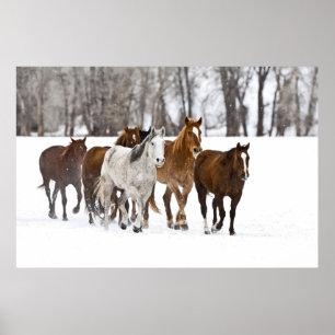 Poster Un paysage hivernal de course