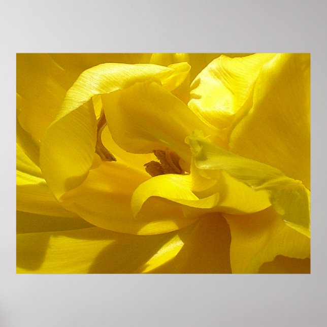 Poster Un petit coup (Devant)