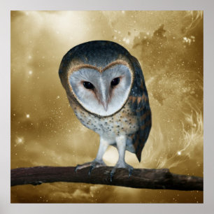 Poster Un petit imaginaire mignon de hibou de grange