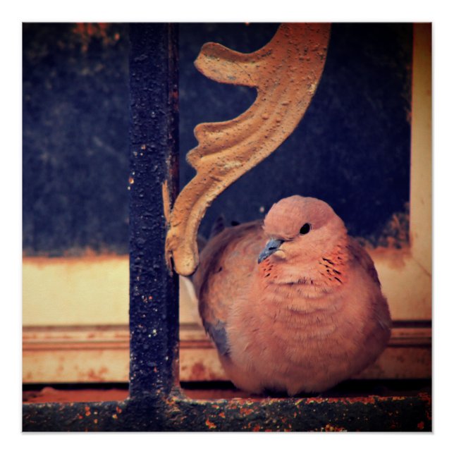 Poster Un peu de liquide (Devant)