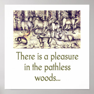 Poster Un Plaisir Dans Les Bois Sans Pathie