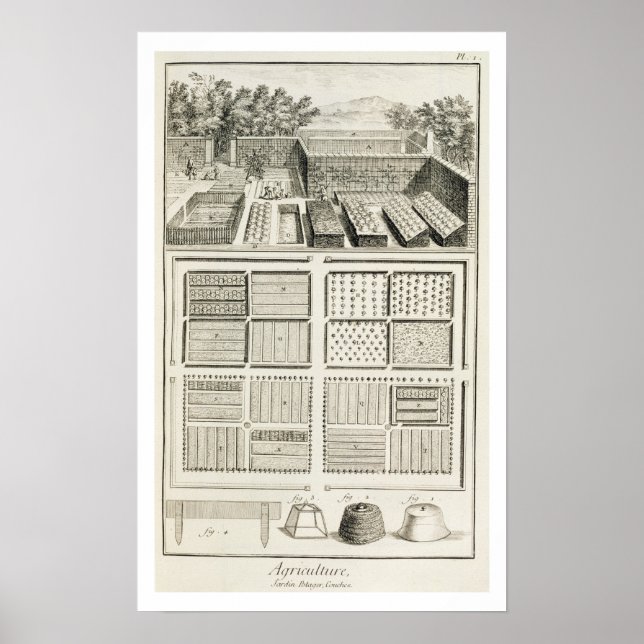Poster Un potager, de l'Encyclopédie des sciences (Devant)