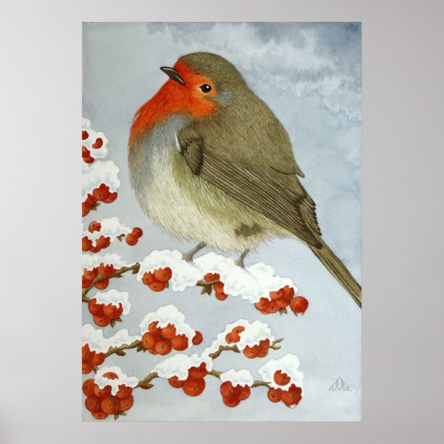 Poster Un Robin et des baies dans la neige (Devant)