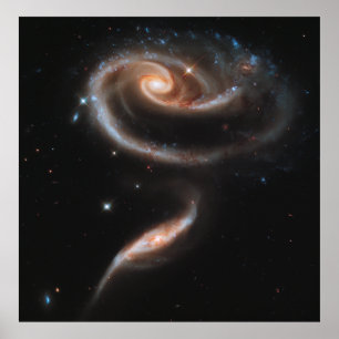 Poster Un Rose en galaxies, ARP 273 [Imprimer]