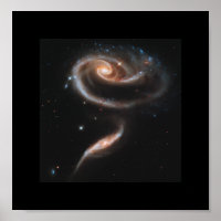 Un Rose En Galaxies - Télescope Spatial Hubble