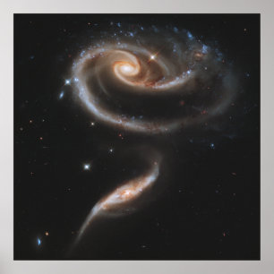 Poster Un Rose fait de galaxies
