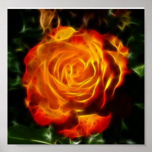 Poster Un Rose magnifique en feu