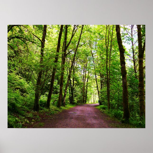 Poster Un sentier dans les Bois (Devant)
