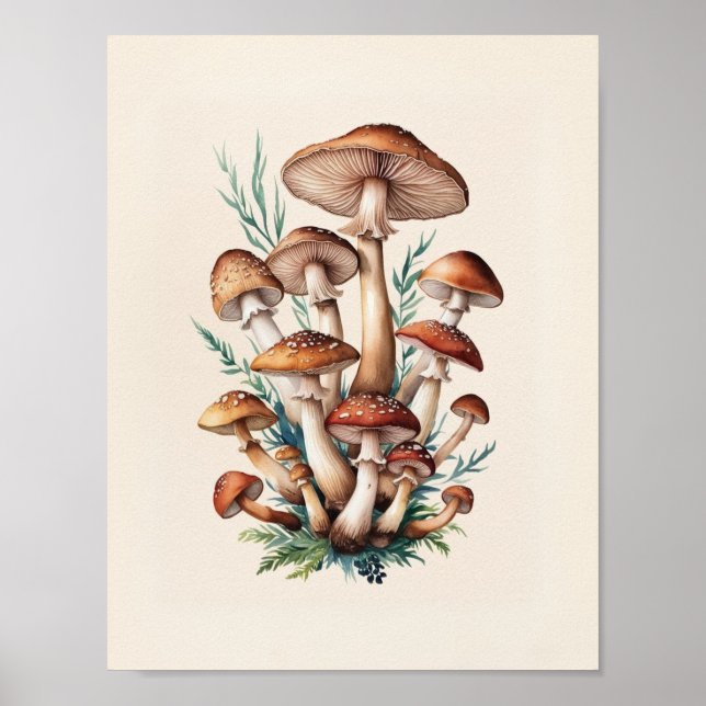Poster Un simple champignon (Devant)