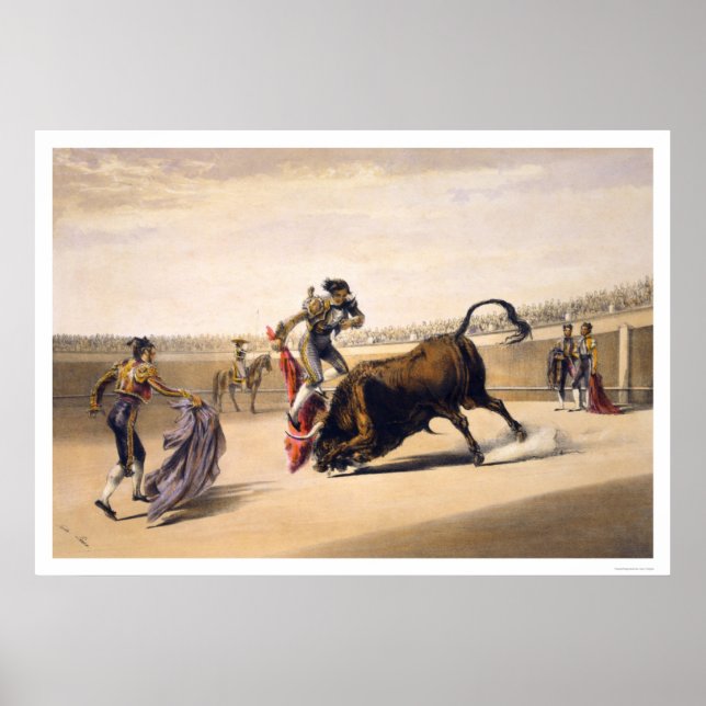 Poster Un taureau (Devant)