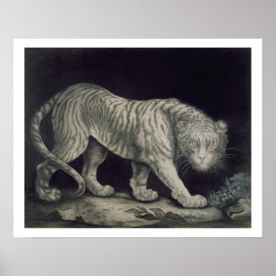Poster Un tigre à ressort (crayon sur papier)