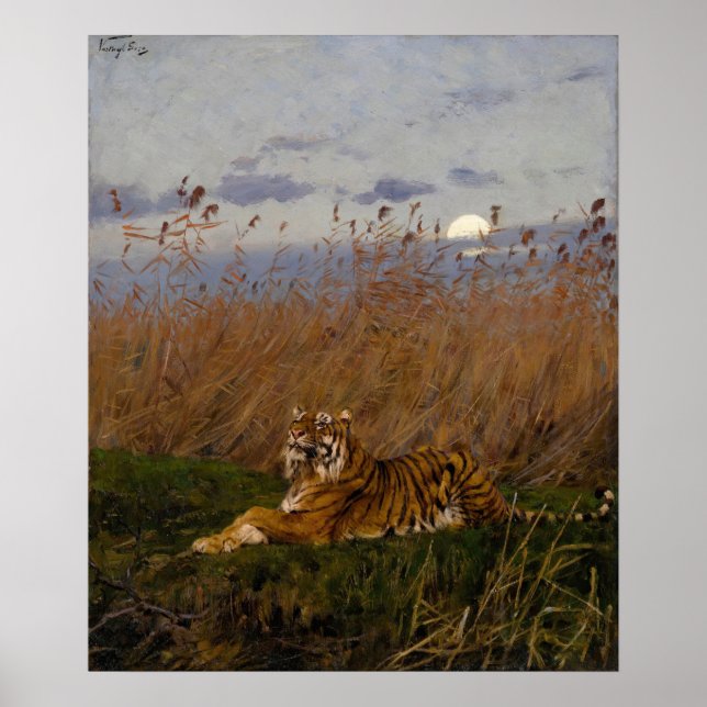 Poster Un Tigre Au Milieu Des Rousses Au Lune (Devant)