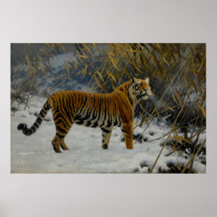 Poster Un tigre qui se propage dans la neige par Hugo Ung