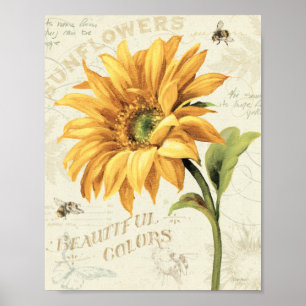 Poster Un tournesol en pleine floraison