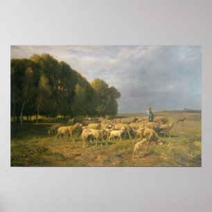 Poster Un troupeau de moutons dans un paysage