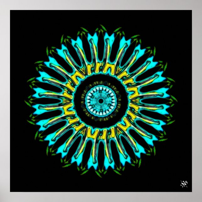 Poster Un truc rond sympa vC5 (Devant)