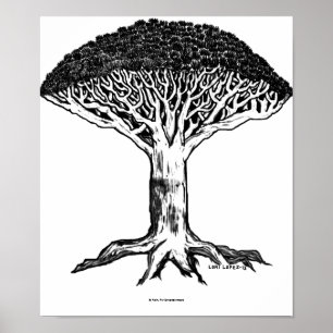 Poster Un Vent Malsain   Arbre de sang de dragon