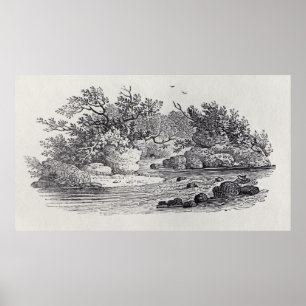 Poster Un virage dans la rivière de 'Histoire de la Grand