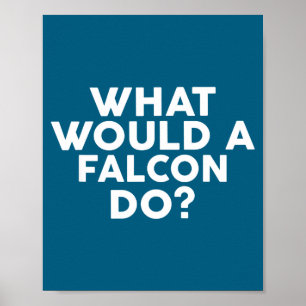 Poster Un What Would Falcon Falcons