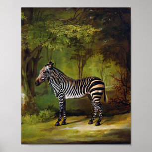 Poster Un zèbre par George Stubbs