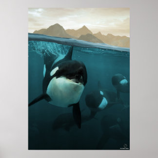 Poster Underwater scene with orca familiale