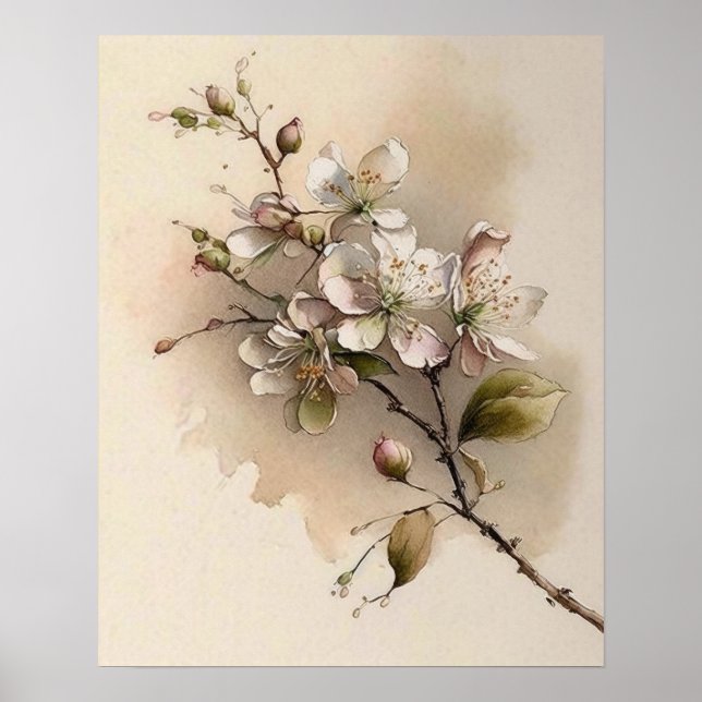 Poster Une aquarelle à branches de fleurs de cerisier (Devant)