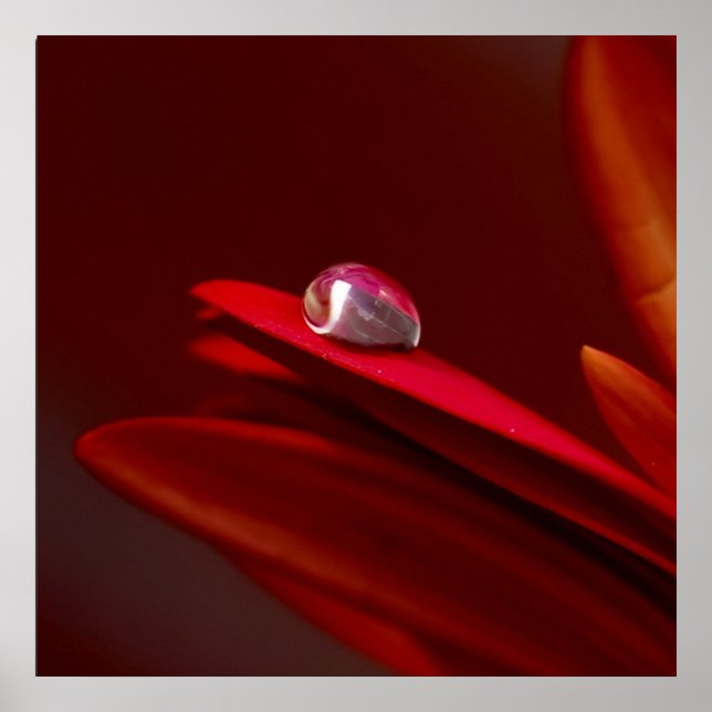 Poster Une autre brique I dans le mur (Devant)