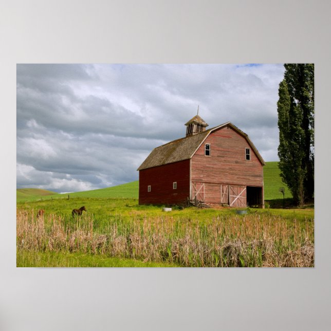 Poster Une balade à travers le pays agricole de Palouse 4 (Devant)