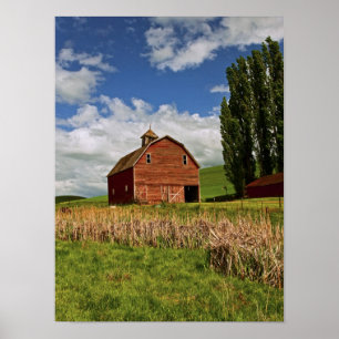 Poster Une balade dans le pays agricole de Palouse