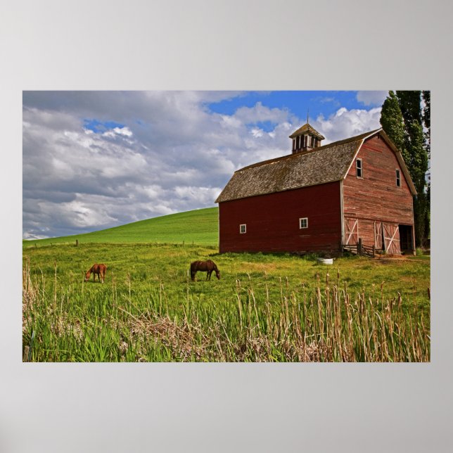 Poster Une balade dans le pays agricole de Palouse 3 (Devant)