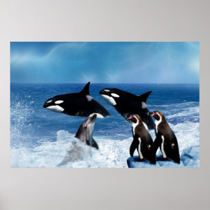 Poster Une baleine d'un monde